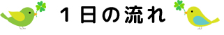 １日の流れ